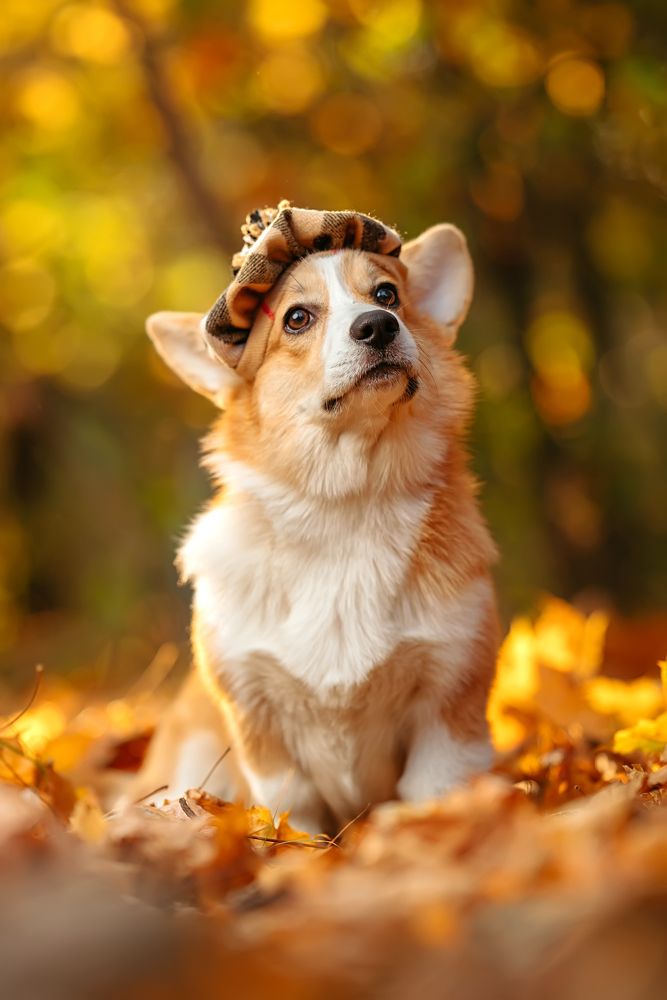 Photograph by Сергей Жуковский