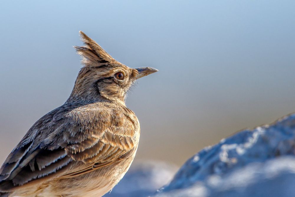 Фотография автора Vasileios Karapanagiotidis