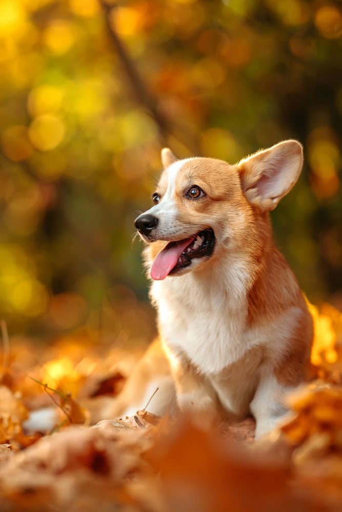 Photograph by Сергей Жуковский