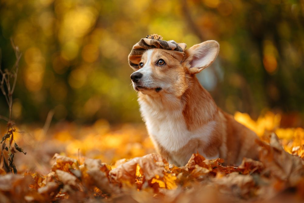 Photograph by Сергей Жуковский