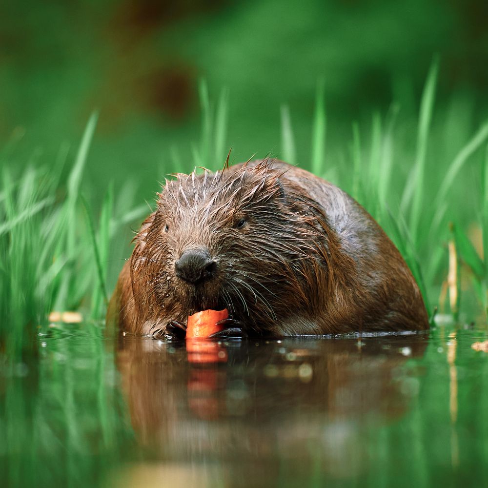 Photograph by Mikhail Khmelevskiy