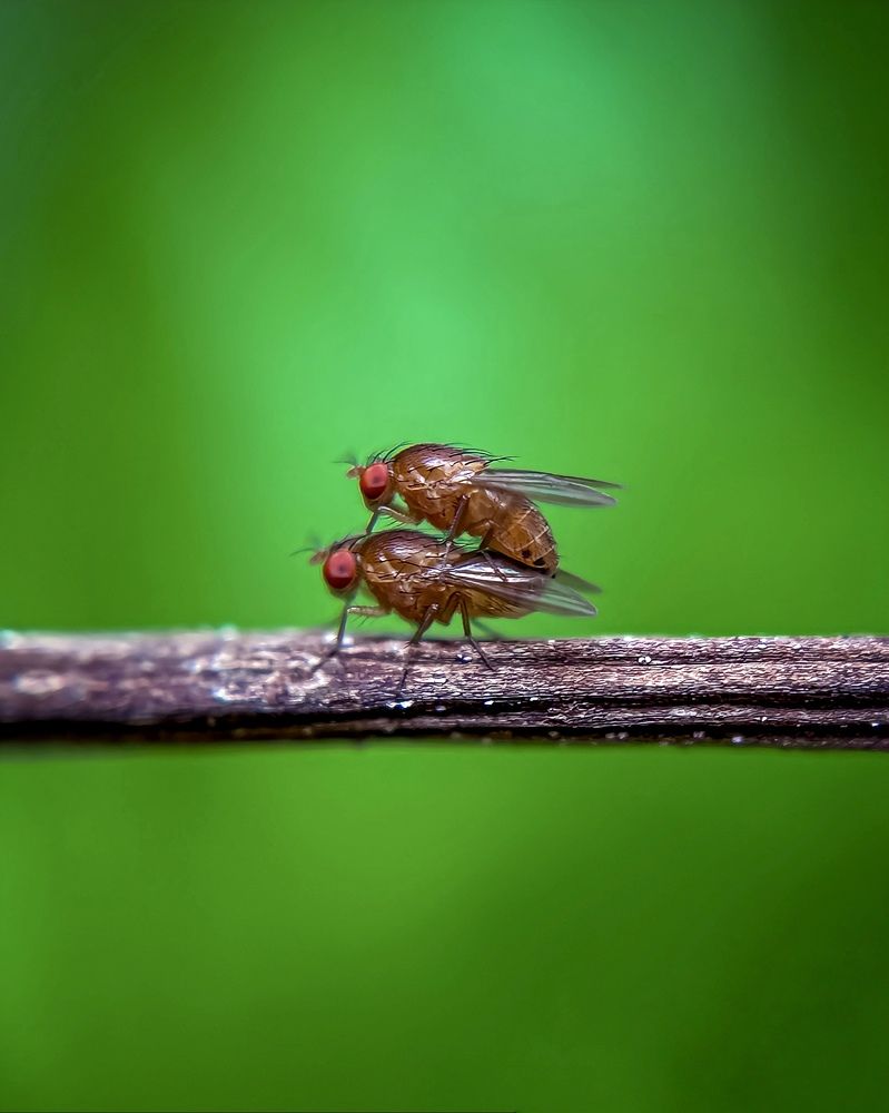 Photograph by Aaron R S