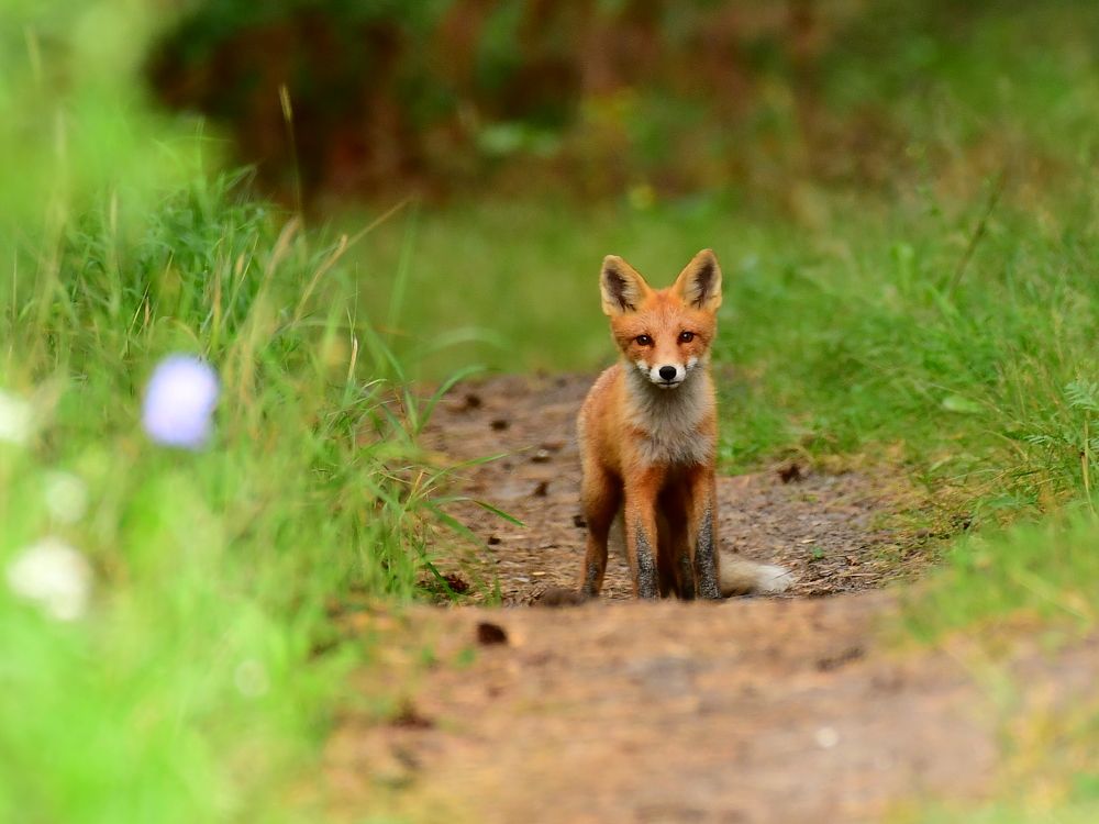 Photograph by Николай Абакумов