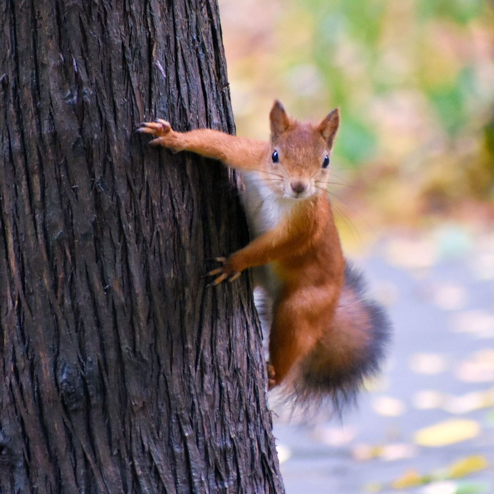 Photograph by Николай Абакумов