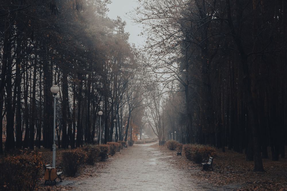 Photograph by Бут-Гусаим Данила