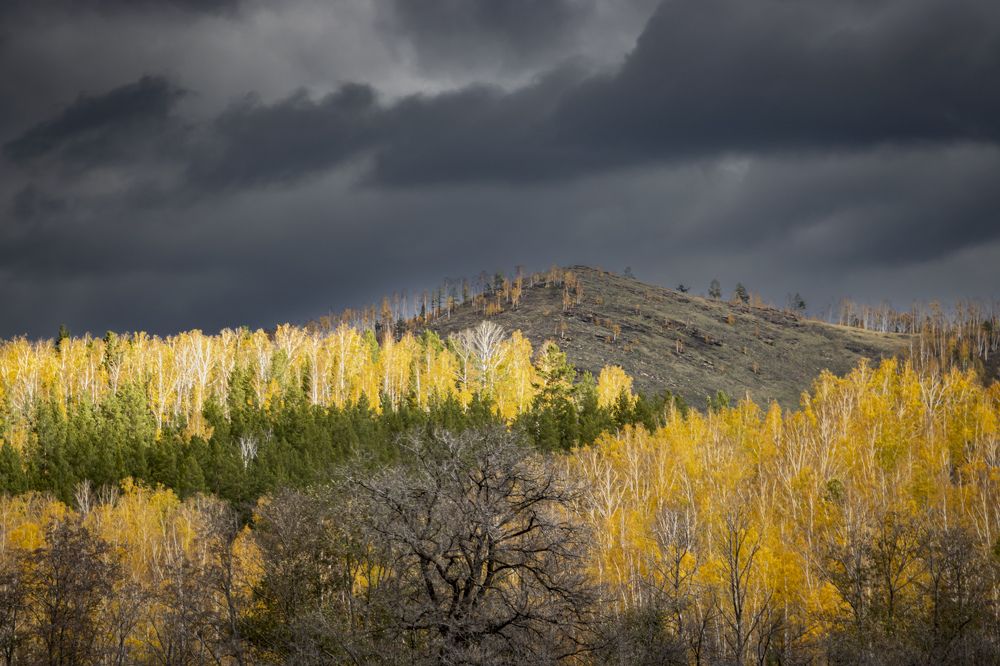 Photograph by Ольга Глухарёва