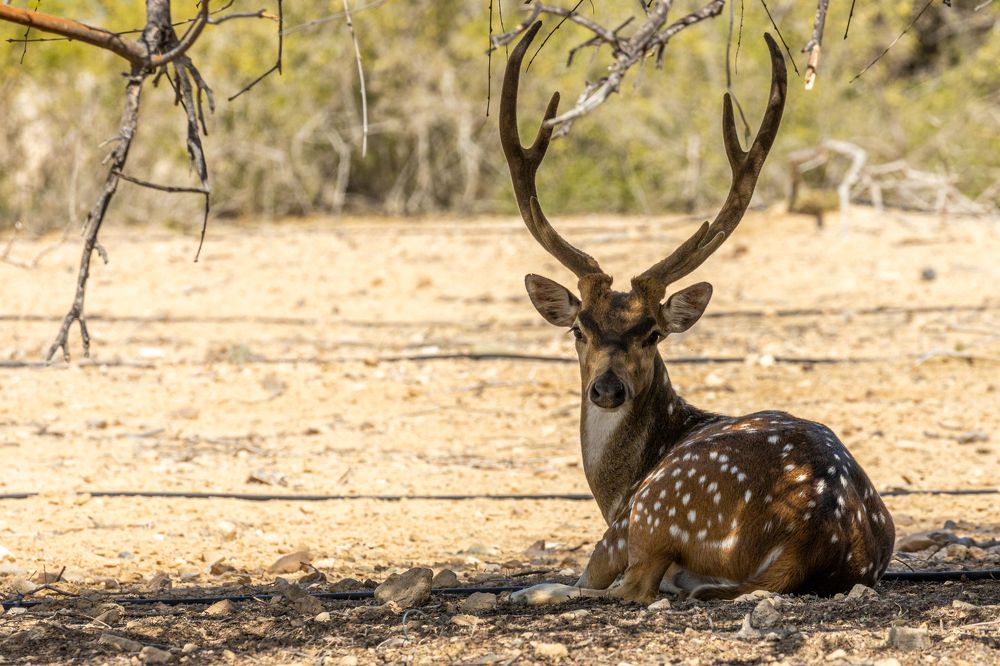 Photograph by Калинин Игорь