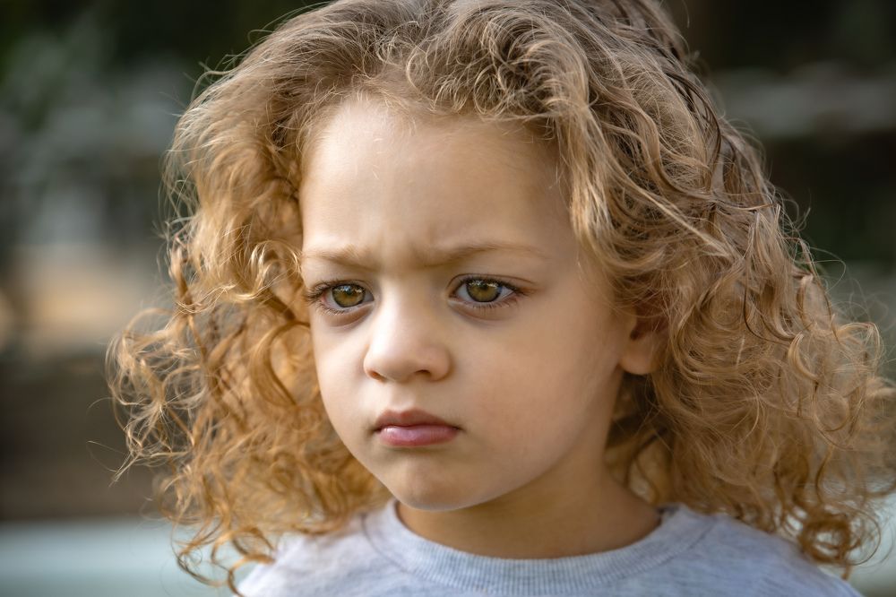 Фотография автора محمد سعد أبو أبراهم