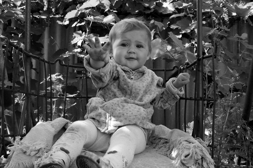 Photograph by елена