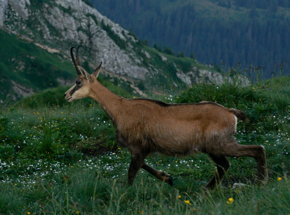 Photograph by George Catalin Serbu