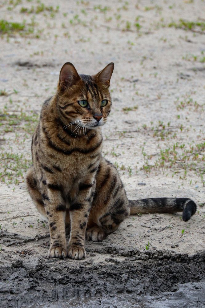 Photograph by Сергей Конюшенко