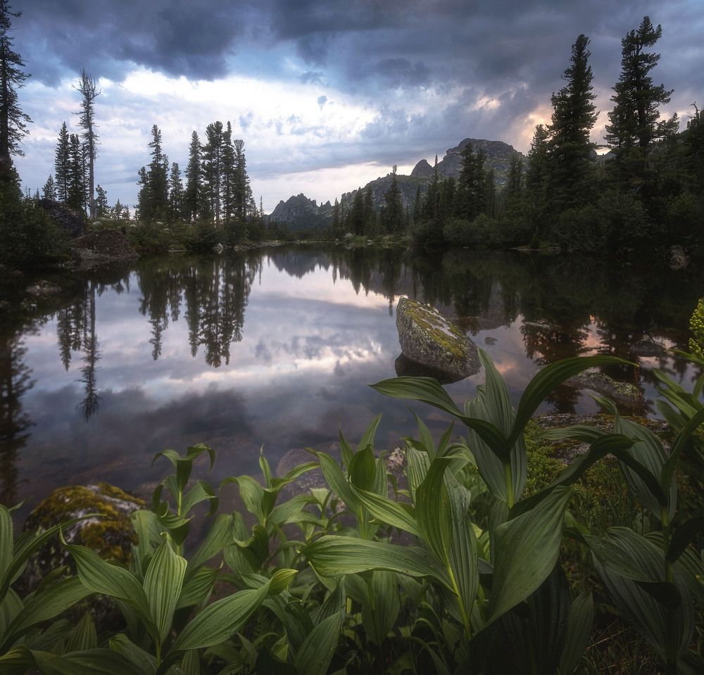 Photograph by Грамаков Юрий