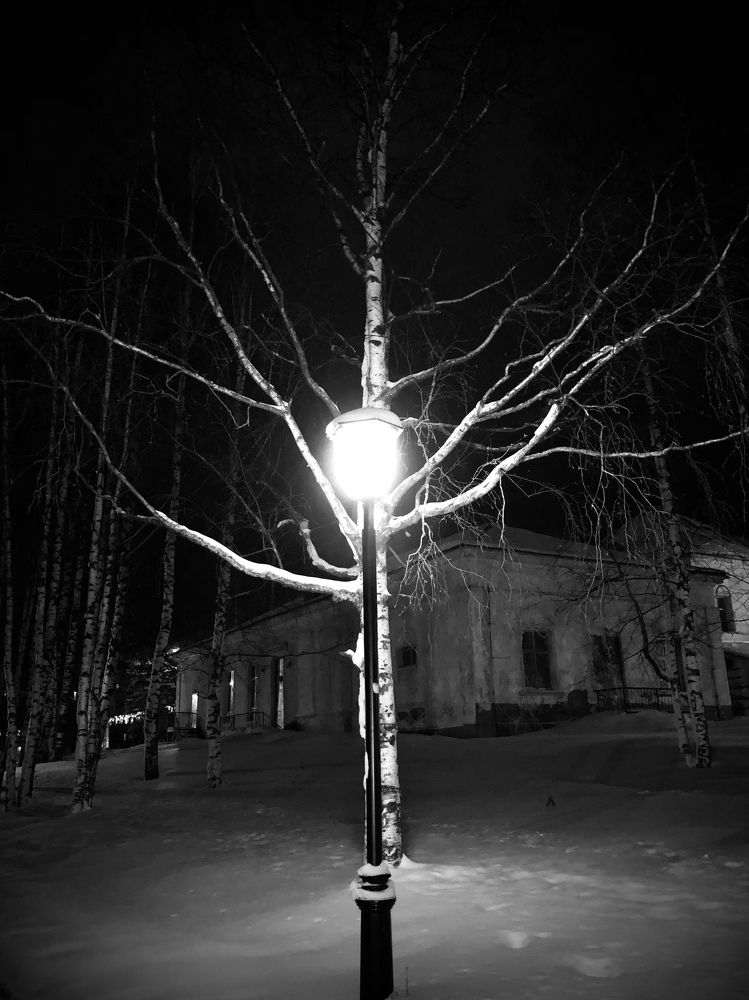 Photograph by Елена Шведова