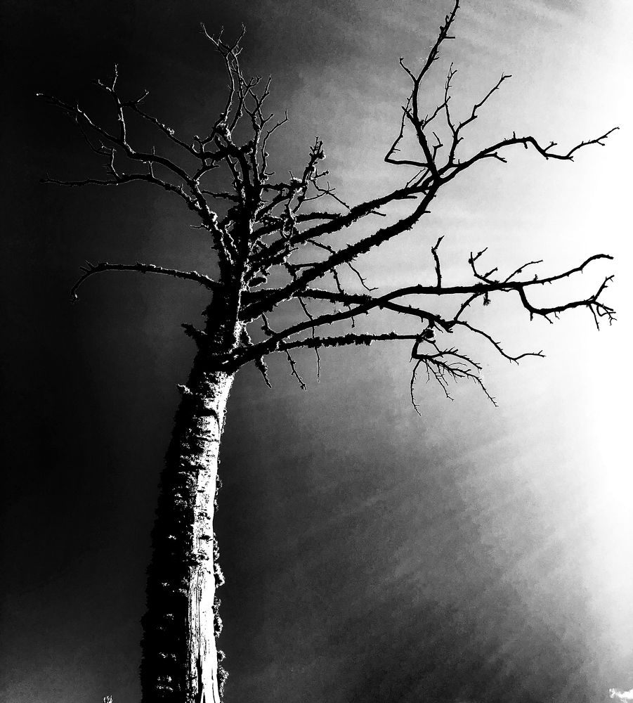 Photograph by Елена Шведова