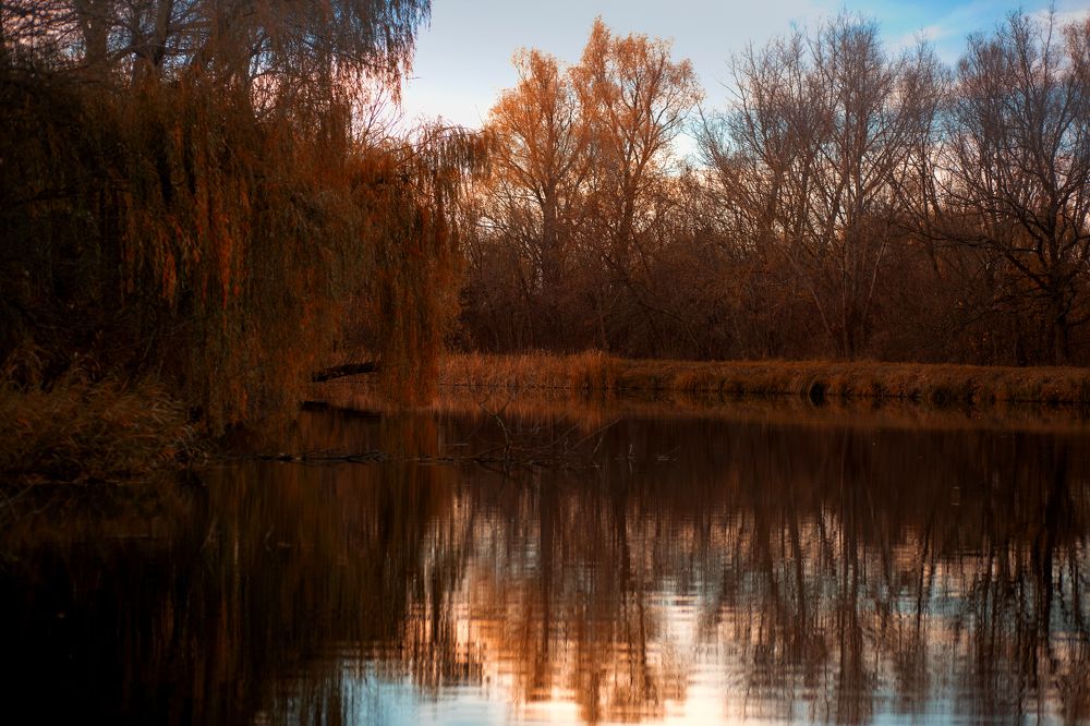 Photograph by Людмила Колесниченко