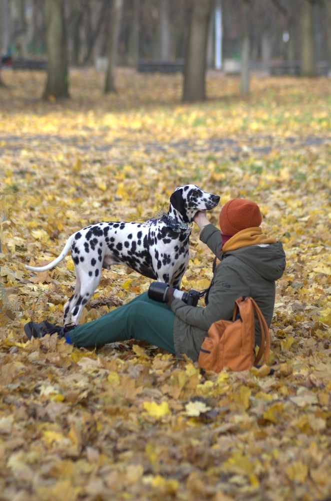 Photograph by Андрей Антипатров