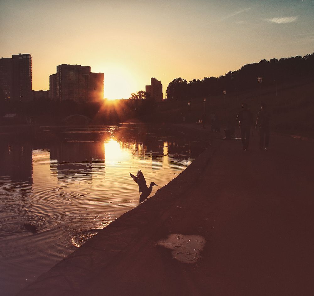 Фотография автора Елена Лаврова