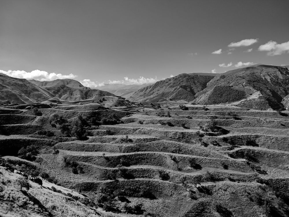 Photograph by Алёна Пшеленская