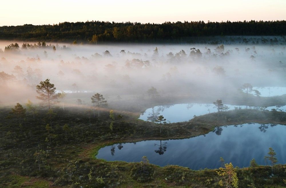 Photograph by IJA REIMAN