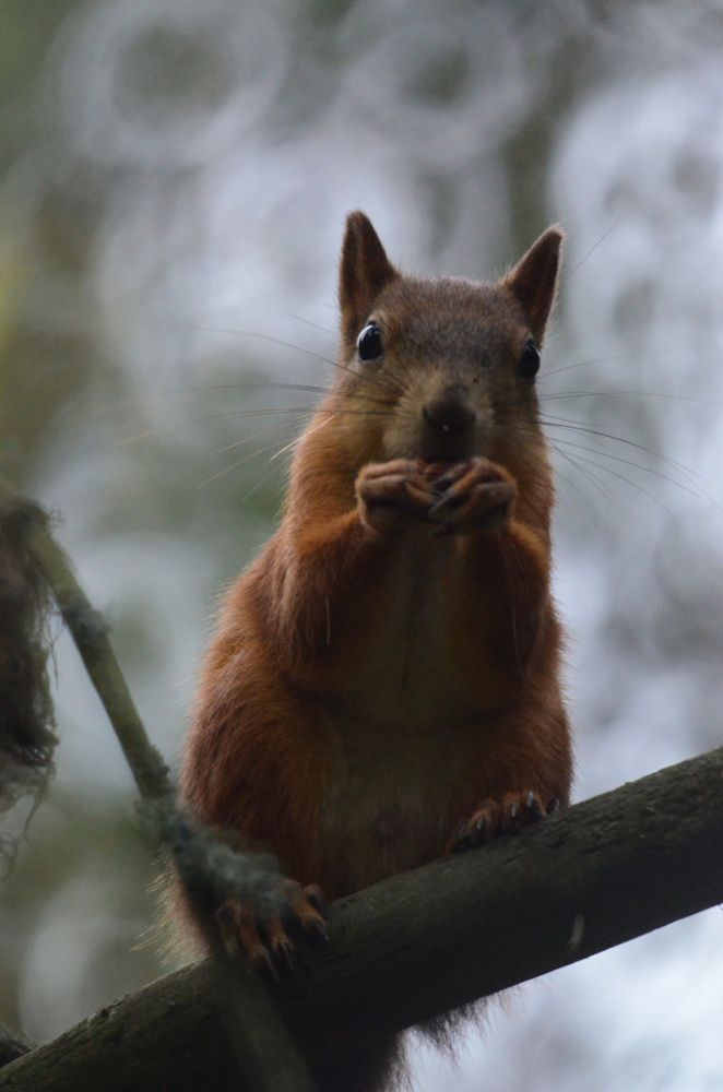 Фотография автора Вадим Писарев