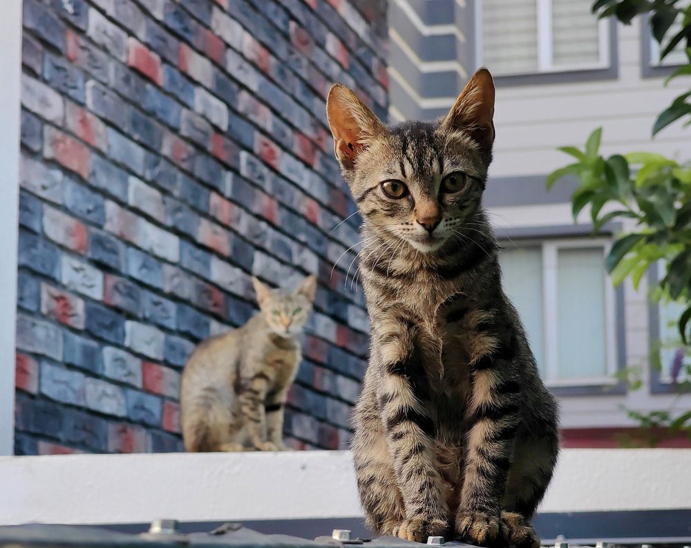 Photograph by Kristina Frizyuk