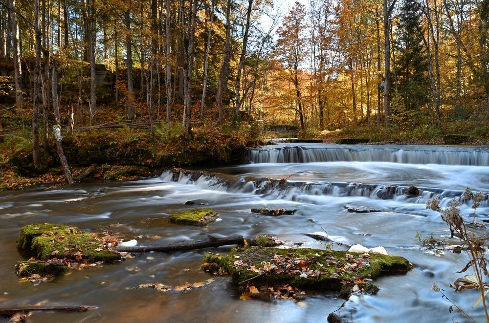 Photograph by IJA REIMAN