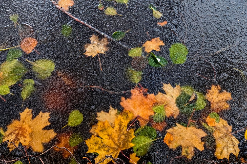 Photograph by Елизавета Коровина