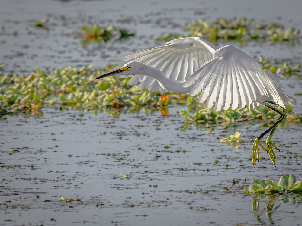 Фотография автора Erik Nelson