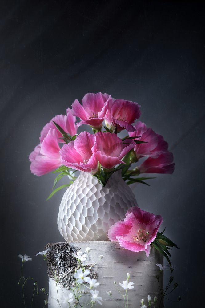 Фотография автора ЯR Ольга