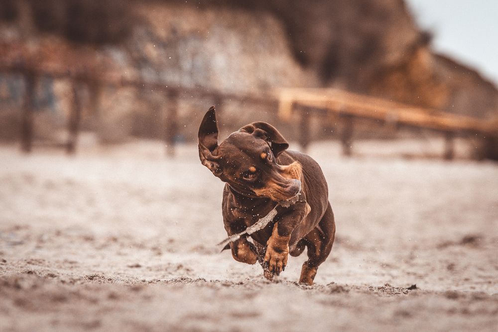 Photograph by Ольга Тенилова