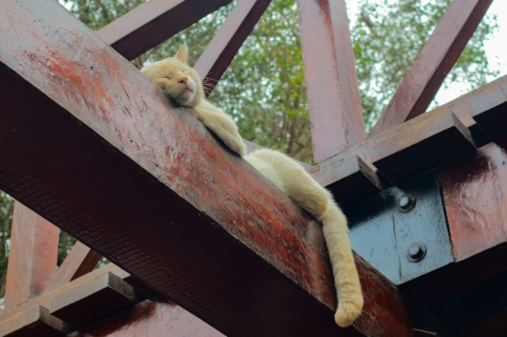 Photograph by Jorge Giol