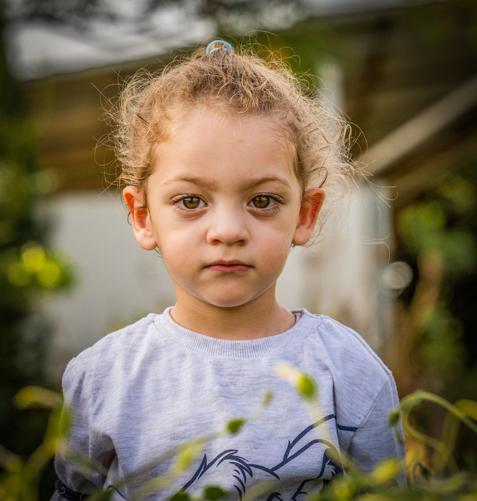Фотография автора محمد سعد أبو أبراهم
