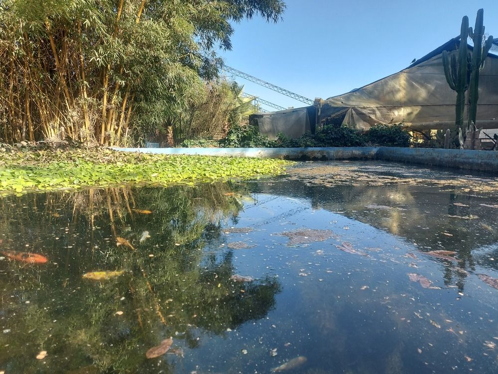 Photograph by Edson Melgares