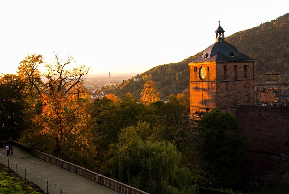 Фотография автора Mari Saxon