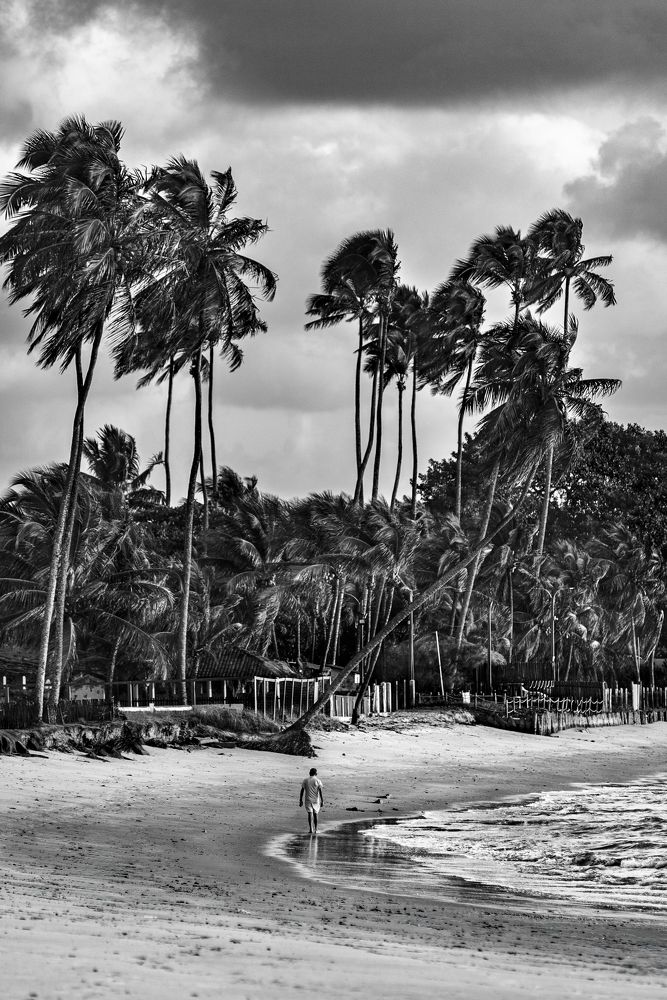 Photograph by Marden Acampora