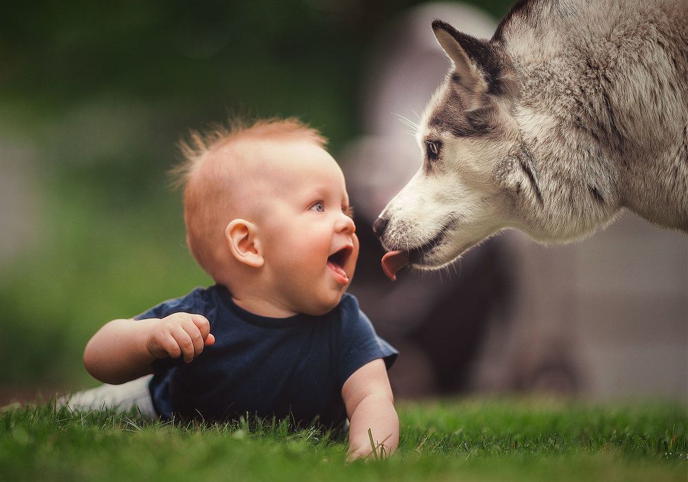 Photograph by Даниил Гладышев