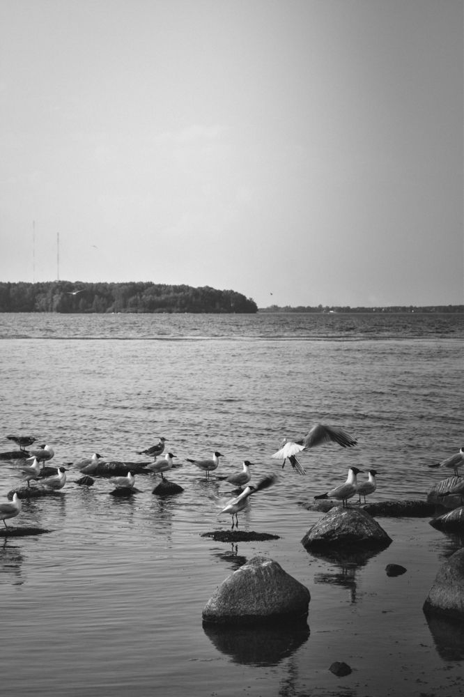 Photograph by Ольга