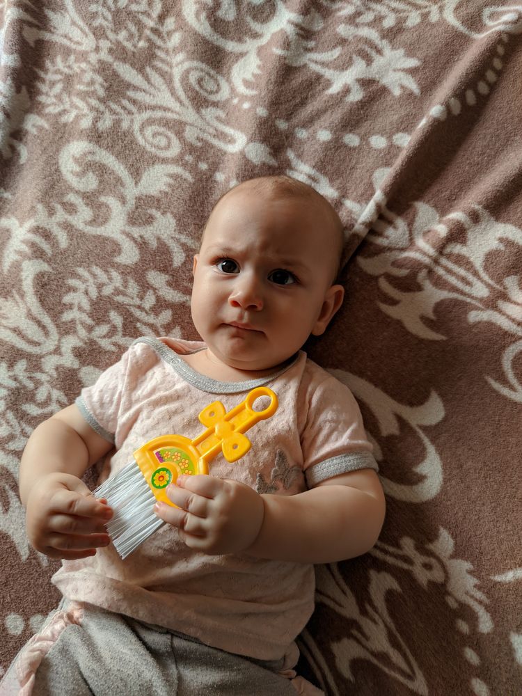 Photograph by mehdi shokravi