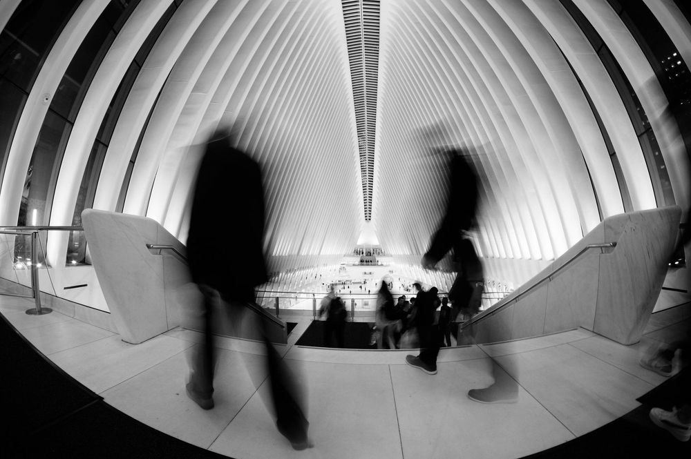 Photograph by Martin S.