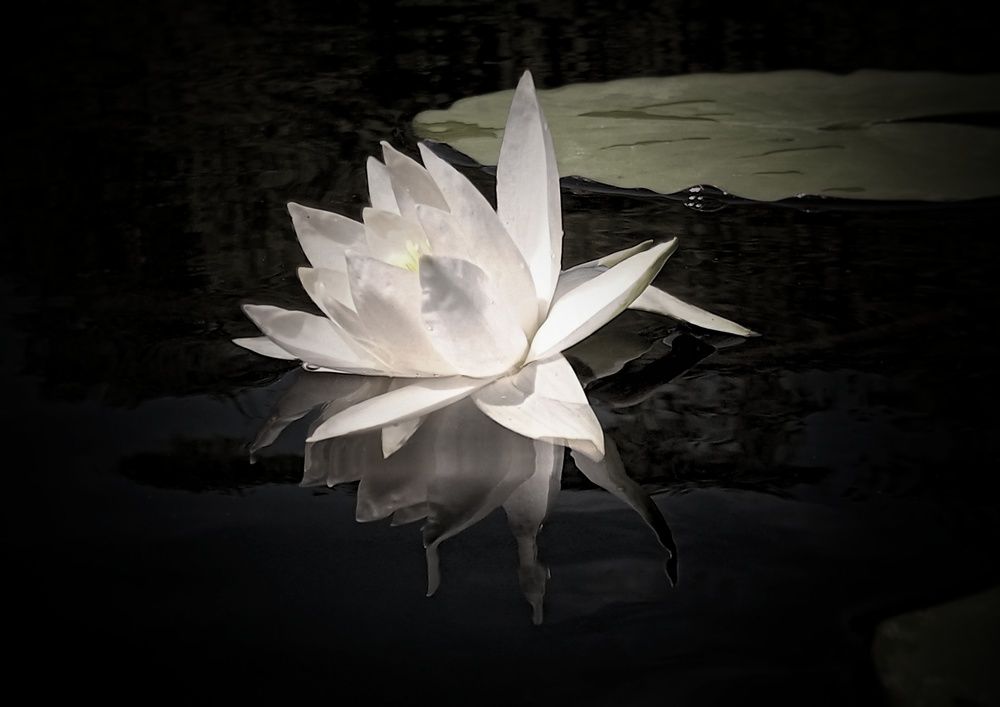 Photograph by Людмила М