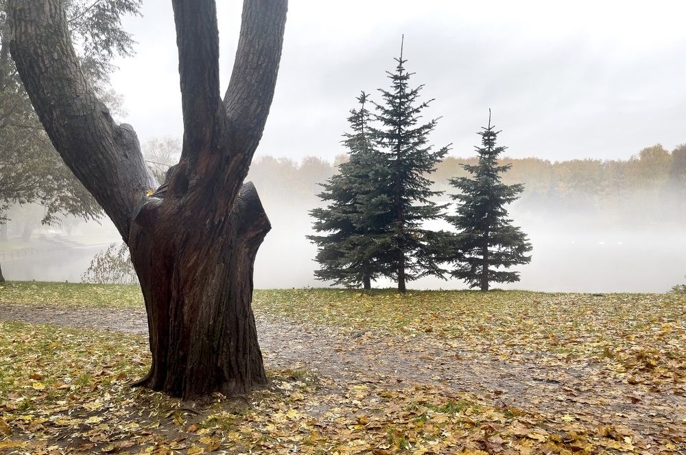 Photograph by Гордий Михаил