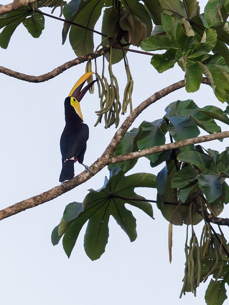 Sharing food - sharing love