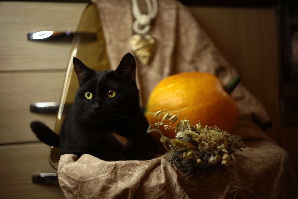 Photograph by Milla Luca