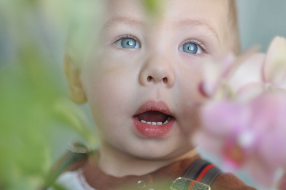 Photograph by Надежда