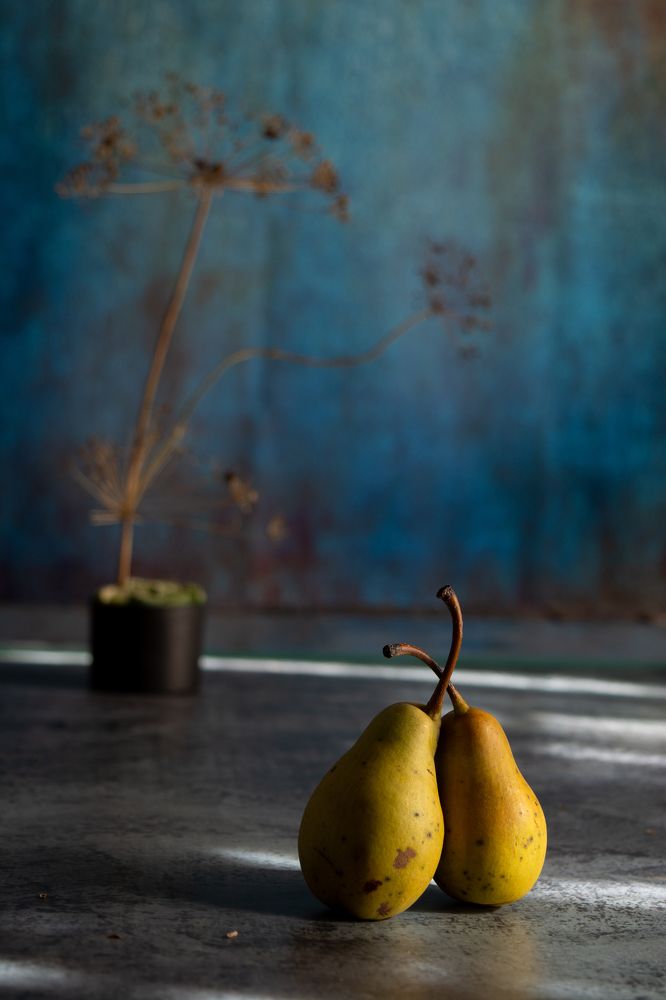 Photograph by Елена Плотникова