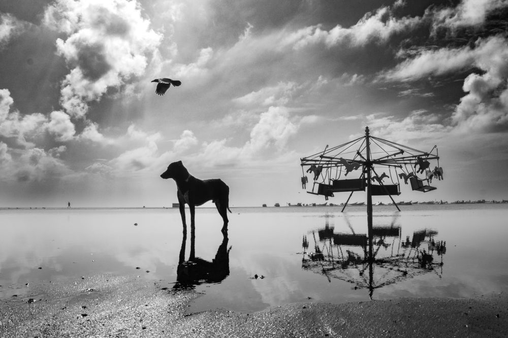 Photograph by Selvarajan Vijayasarathy