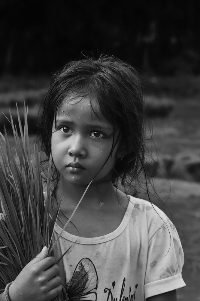 Photograph by Phúc Đoan Nguyễn