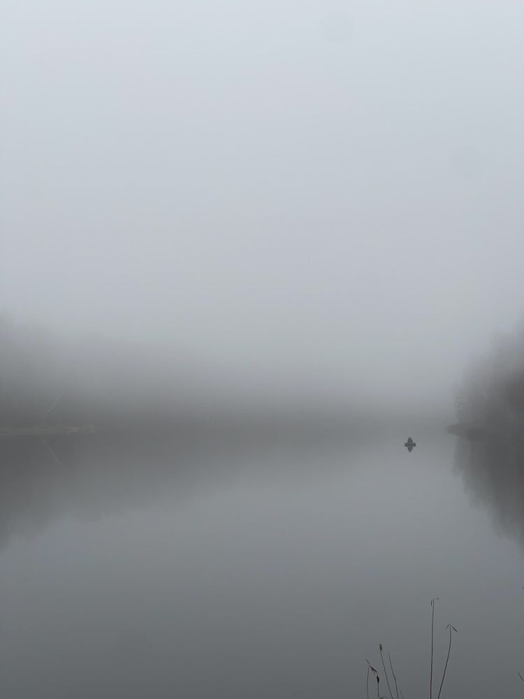 Ноябрьское- монохромное