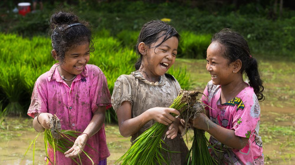 Photograph by Phúc Đoan Nguyễn