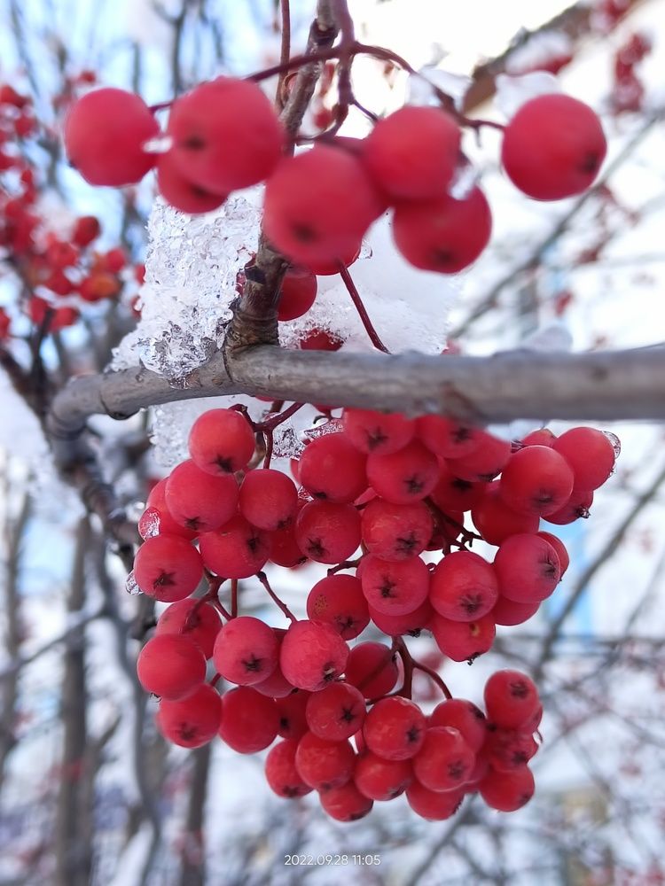 Photograph by Лена